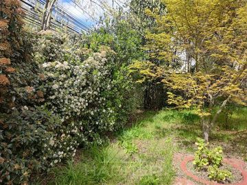 Casa en Venta en Cercano Plaza de Armas