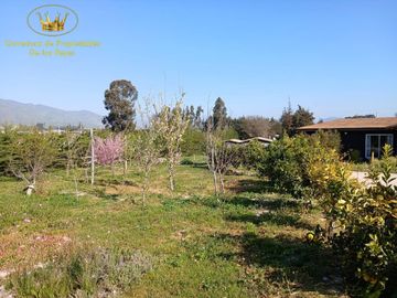 Se vende Terreno/Propiedad ubicada en Pan de Azúcar, cuarta región.