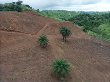 Se vende finca de 5 has con proyecto completo en Pedasí