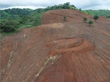 Se vende finca de 5 has con proyecto completo en Pedasí