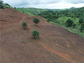 Se vende finca de 5 has con proyecto completo en Pedasí
