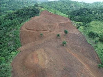 Se vende finca de 5 has con proyecto completo en Pedasí