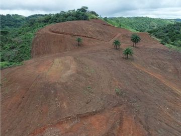 Se vende finca de 5 has con proyecto completo en Pedasí