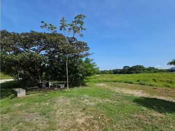 Se vende finca de 10 hectáreas en Penonomé, Vía Cañaveral