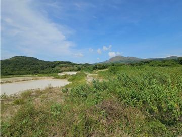 Se vende finca de 10 hectáreas en Penonomé, Vía Cañaveral