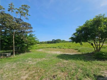 Se vende finca de 10 hectáreas en Penonomé, Vía Cañaveral