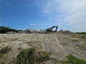 Se vende finca de 10 hectáreas en Penonomé, Vía Cañaveral