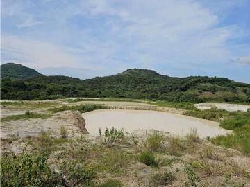 Se vende finca de 10 hectáreas en Penonomé, Vía Cañaveral