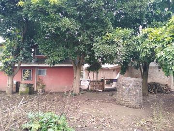 L-55/La Quinta Longavi - Parcela - Venta