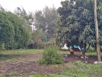 L-55/La Quinta Longavi - Parcela - Venta