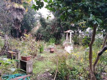 L-55/La Quinta Longavi - Parcela - Venta