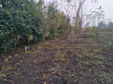 L-55/La Quinta Longavi - Parcela - Venta