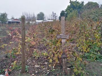 L-55/La Quinta Longavi - Parcela - Venta