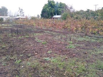 L-55/La Quinta Longavi - Parcela - Venta