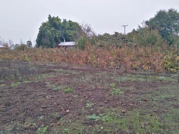 L-55/La Quinta Longavi - Parcela - Venta