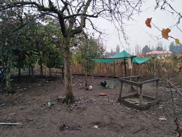 L-55/La Quinta Longavi - Parcela - Venta