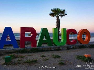 Ruta P-330/P-40 - Parcela - Venta