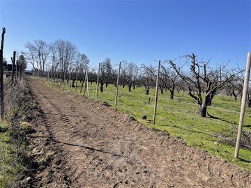 Parcela en Venta en PARCELA N° 69 DEL PROYECTO DE PARCELACION SECTOR GUAICO UNO COMUNA ROMERAL