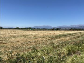 VENTA PARCELAS ISLA DE MAIPO - LAS PALMERAS DE LONQUÉN