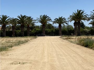 VENTA PARCELAS ISLA DE MAIPO - LAS PALMERAS DE LONQUÉN