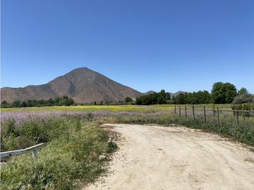 VENTA PARCELAS ISLA DE MAIPO - LAS PALMERAS DE LONQUÉN