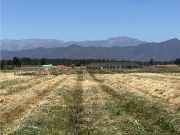 VENTA PARCELAS ISLA DE MAIPO - LAS PALMERAS DE LONQUÉN