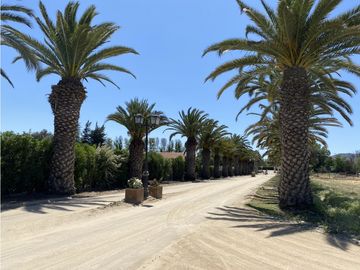 VENTA PARCELAS ISLA DE MAIPO - LAS PALMERAS DE LONQUÉN