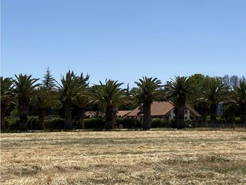 VENTA PARCELAS ISLA DE MAIPO - LAS PALMERAS DE LONQUÉN