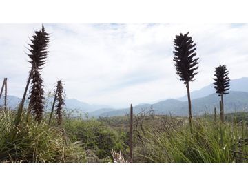 VENTA PARCELA HIJUELAS - OASIS DE LA CAMPANA