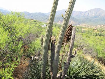 VENTA PARCELA HIJUELAS - OASIS DE LA CAMPANA