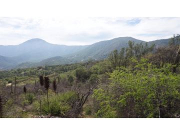 VENTA PARCELA HIJUELAS - OASIS DE LA CAMPANA