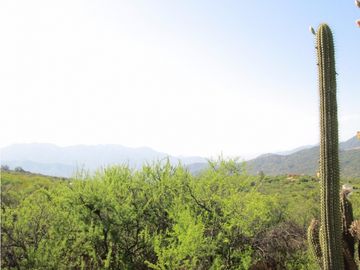 VENTA PARCELA HIJUELAS - OASIS DE LA CAMPANA