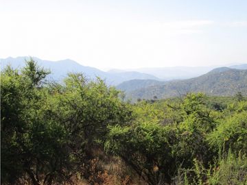 VENTA PARCELA HIJUELAS - OASIS DE LA CAMPANA