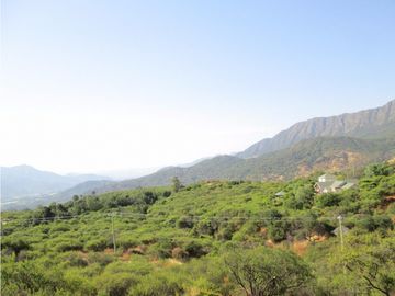 VENTA PARCELA HIJUELAS - OASIS DE LA CAMPANA