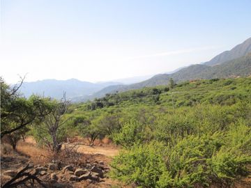 VENTA PARCELA HIJUELAS - OASIS DE LA CAMPANA