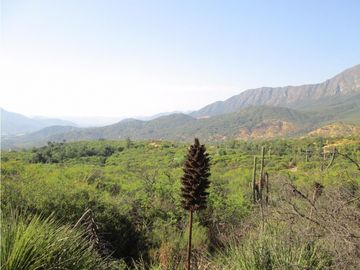 VENTA PARCELA HIJUELAS - OASIS DE LA CAMPANA