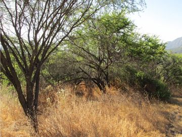 VENTA PARCELA HIJUELAS - OASIS DE LA CAMPANA