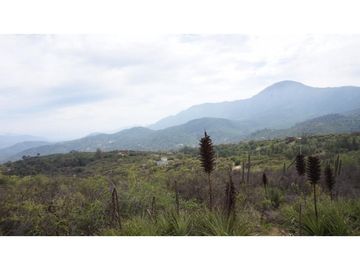VENTA PARCELA HIJUELAS - OASIS DE LA CAMPANA