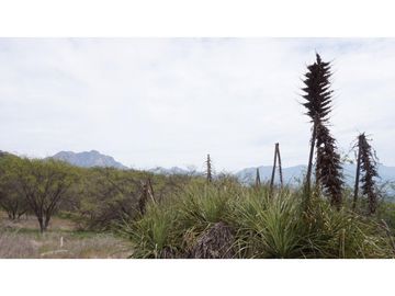 VENTA PARCELA HIJUELAS - OASIS DE LA CAMPANA