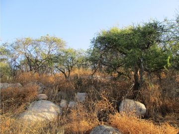 VENTA PARCELA HIJUELAS - OASIS DE LA CAMPANA