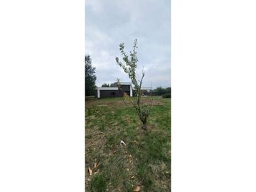 VENTA PARCELA VILLARRICA - PUERTA DEL SOL / CASA MODERNA