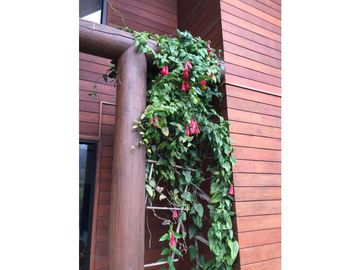 VENTA PARCELA / CASA  /  VILLARRICA  ALTAMIRA