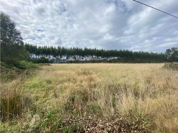 VENTA PARCELA VILLARRICA CONDOMINIO PEUMAYEN