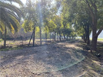 VENTA PARCELA CON CASA  - CALERA DE TANGO 1 HECTAREA.