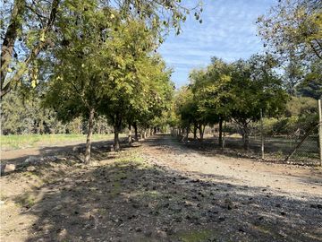 VENTA PARCELA CON CASA  Y PARQUE - CALERA DE TANGO 15 HS