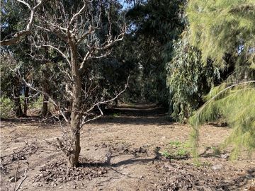 VENTA PARCELA CON CASA  Y PARQUE - CALERA DE TANGO 15 HS