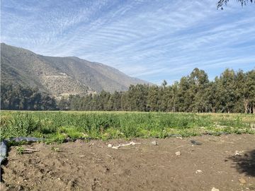VENTA PARCELA CON CASA  Y PARQUE - CALERA DE TANGO 15 HS