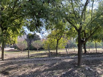 VENTA PARCELA CON CASA  Y PARQUE - CALERA DE TANGO 15 HS