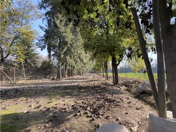 VENTA PARCELA CON CASA  Y PARQUE - CALERA DE TANGO 15 HS