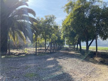 VENTA PARCELA CON CASA  Y PARQUE - CALERA DE TANGO 15 HS